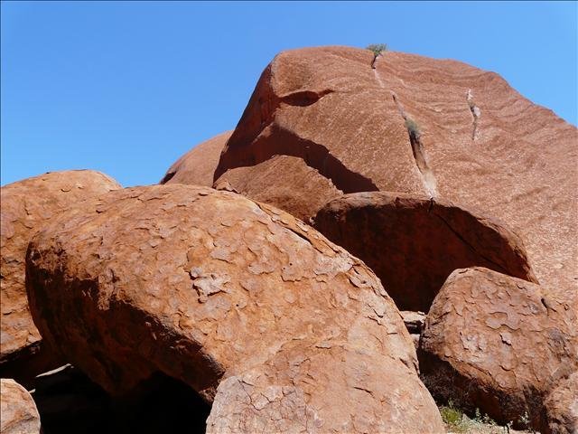 Photograph