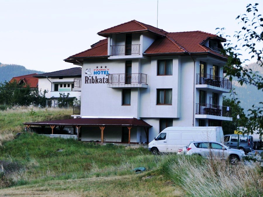 Photograph