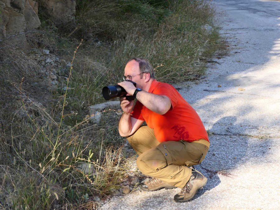 Photograph