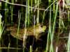 Photo Number 26