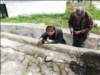 Photo Number 7