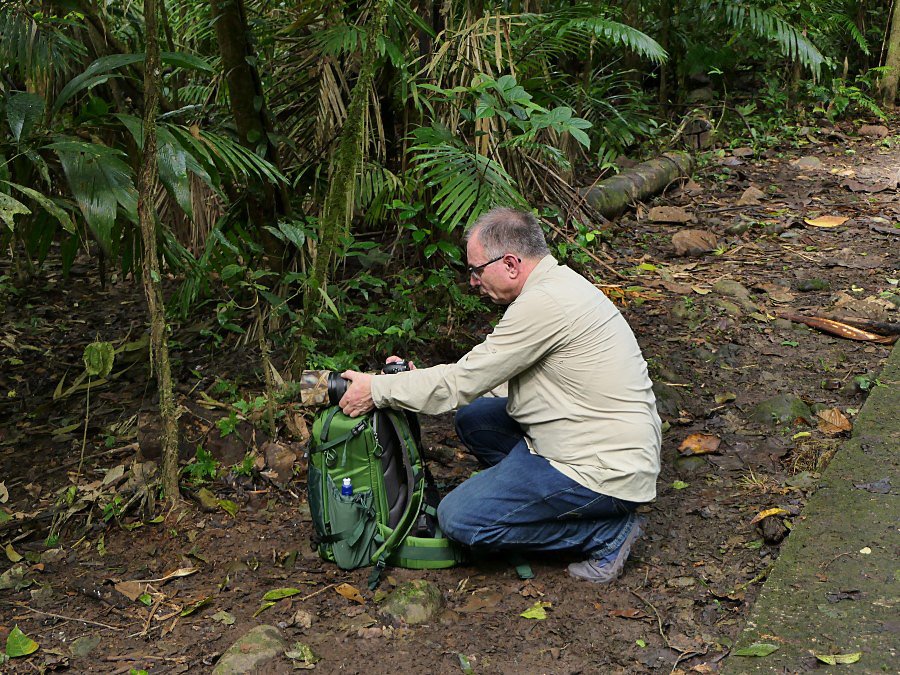 Photograph