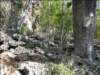 Photo Number 8