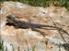 Photo Number 2