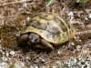 Photo Number 1