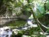 Photo Number 13