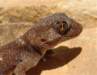 Photo Number 23