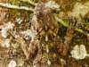 Photo Number 17