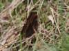 Photo Number 5