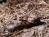 Photo Number 16