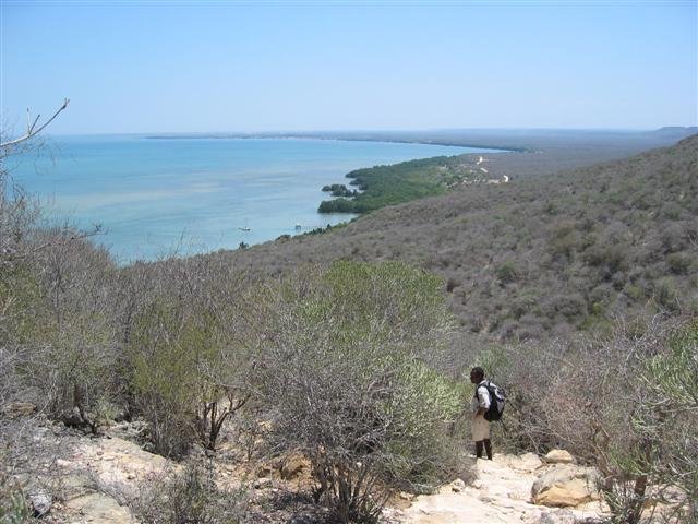Photograph