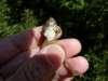 Photo Number 6
