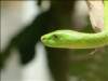 Photo Number 6