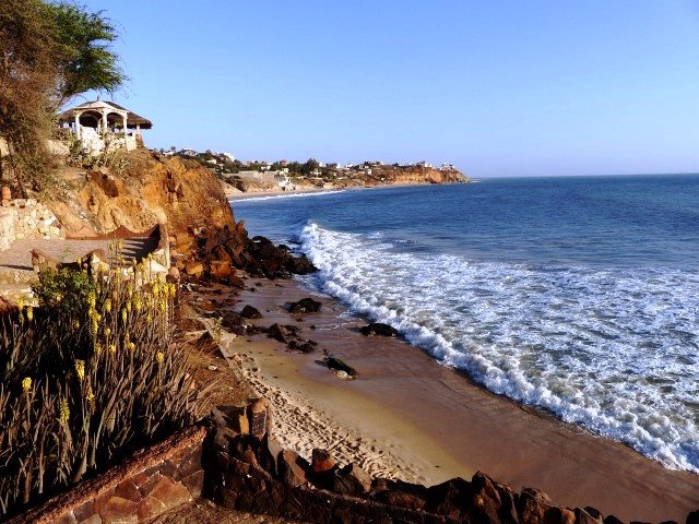 Photograph