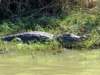 Photo Number 2