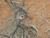 Photo Number 7