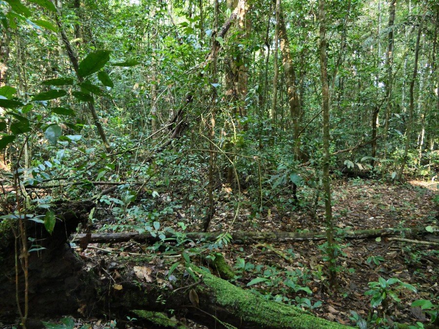 Photograph