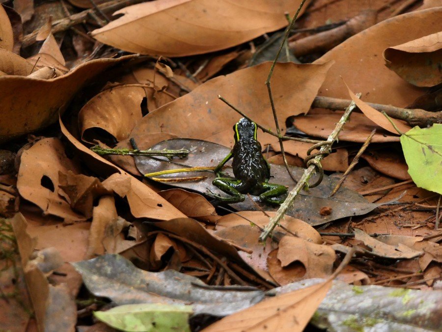 Photograph