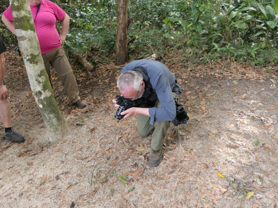 Photograph