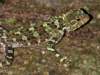 Photo Number 28