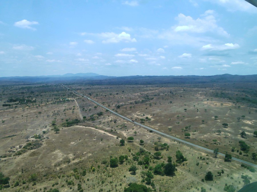Photograph
