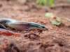 Photo Number 26