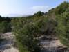 Photo Number 6