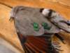 Photo Number 19